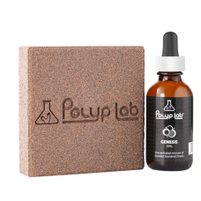 Genesis Rock with Booster, Polyp Lab