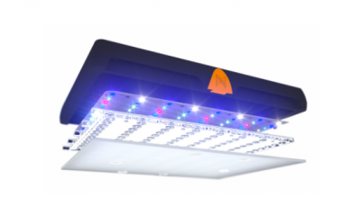 Neptune Led Lighting 
