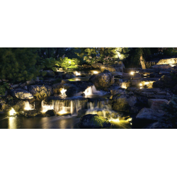 Pond Lights