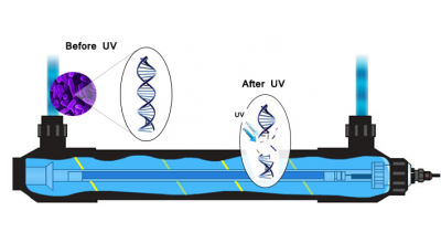 Ultraviolet Sterilizers