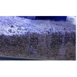 Refugium Mud