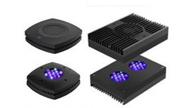 Aqua Illumination LEDs