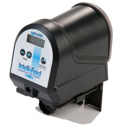 intellifeed fish feeder