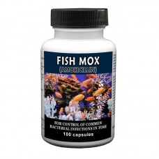 Fish Mox (Amoxicillin)