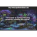 Reef Tank Bundle - "Extremely  Good Quality-Top of the Line"