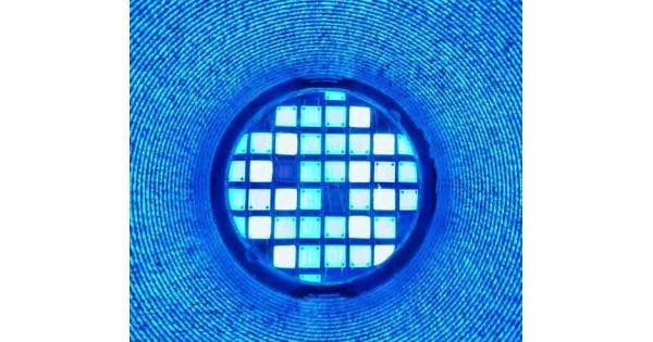 kessil a360 tuna sun