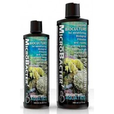 Brightwell Aquatics Microbacter7 Bioculture Fresh & Marine 250 ml