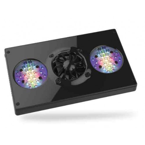eco tech radion xr30w